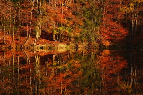 Herbst an den Weldener Seen