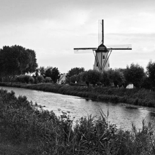Windmühle in Nordwest-Belgien